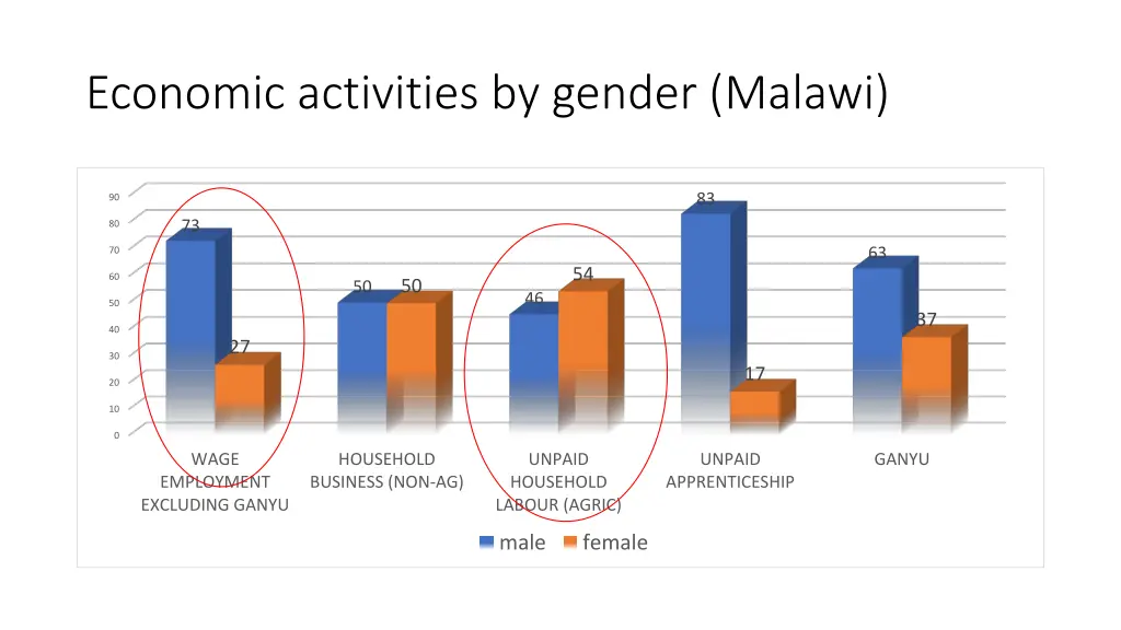 economic activities by gender malawi