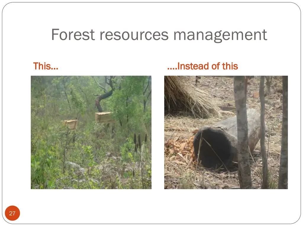 forest resources management