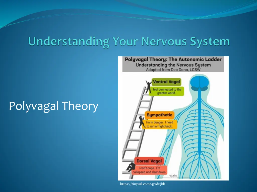 polyvagal theory