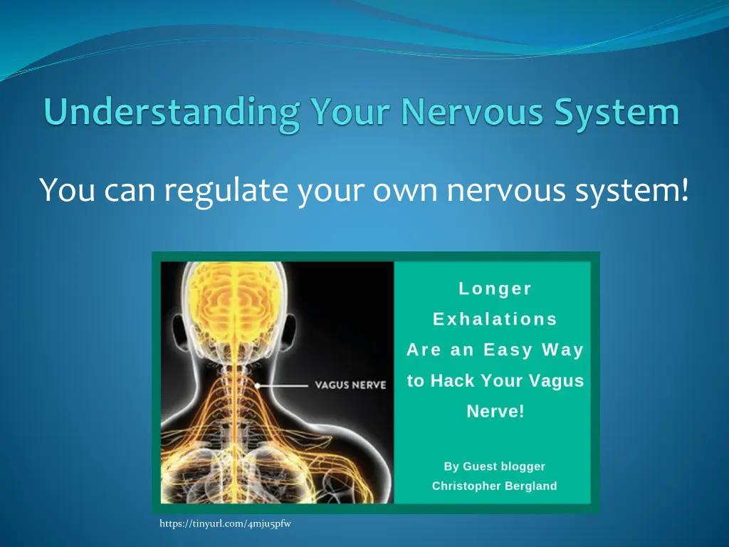 you can regulate your own nervous system