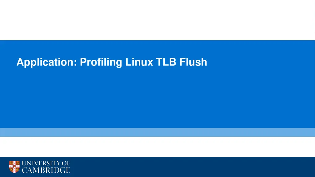 application profiling linux tlb flush