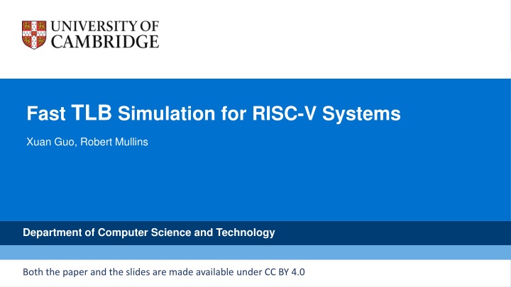 fast tlb simulation for risc v systems