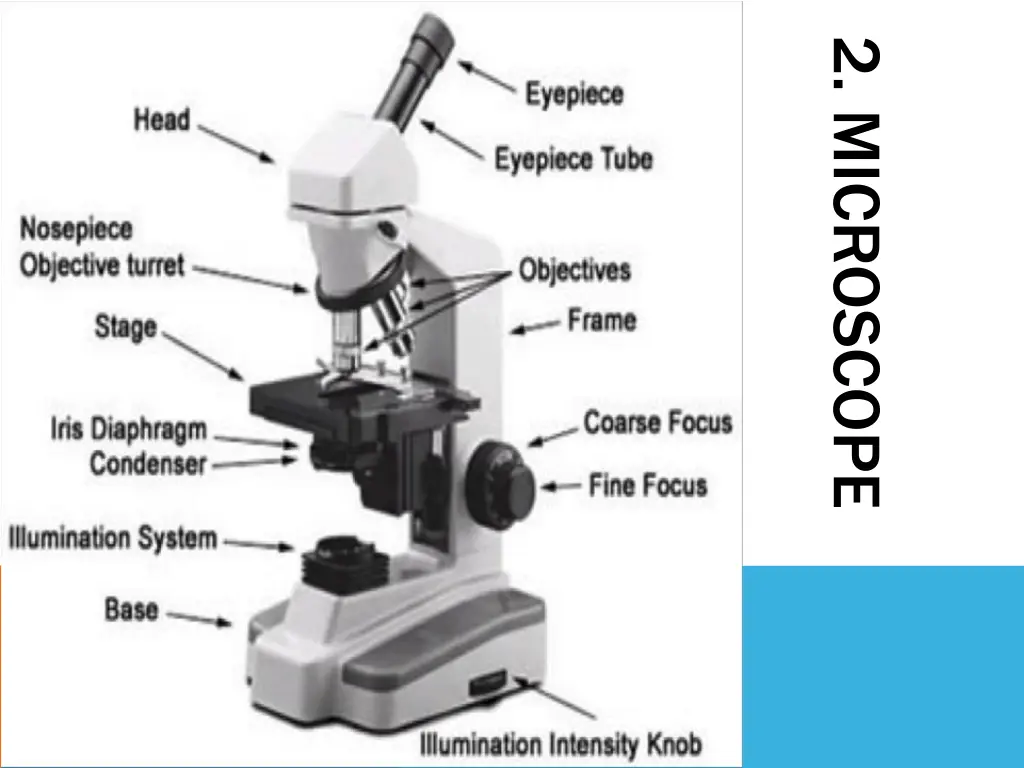 2 microscope