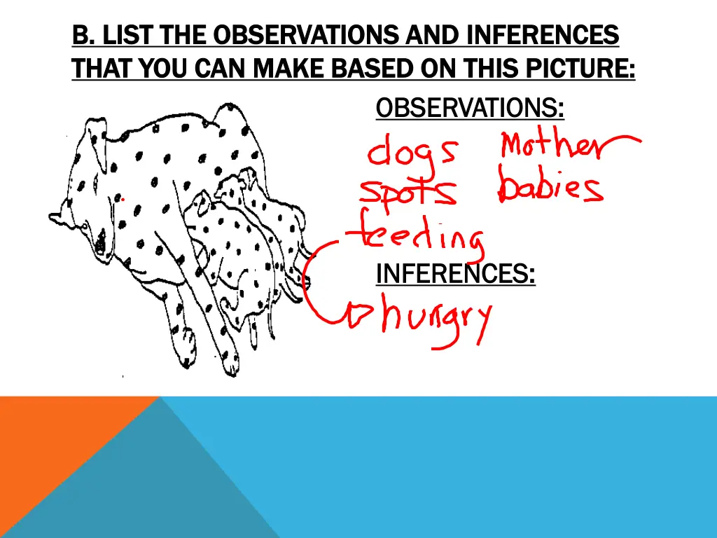 b list the observations and inferences b list