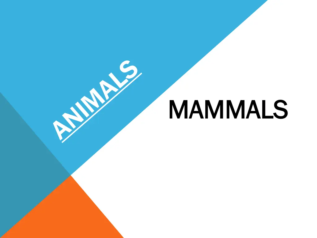 mammals mammals