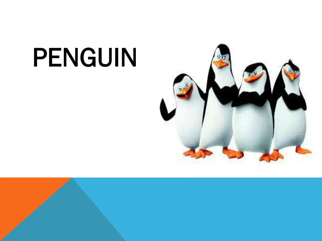 penguin penguin