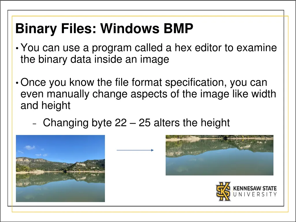 binary files windows bmp