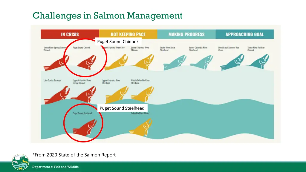 challenges in salmon management