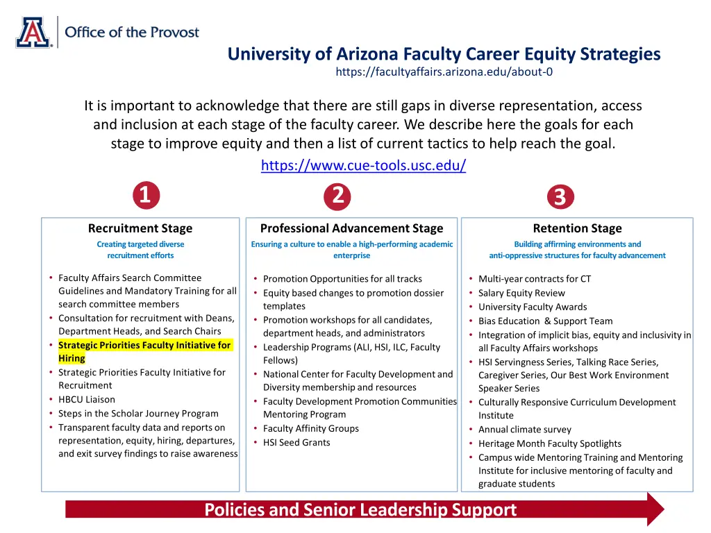 university of arizona faculty career equity