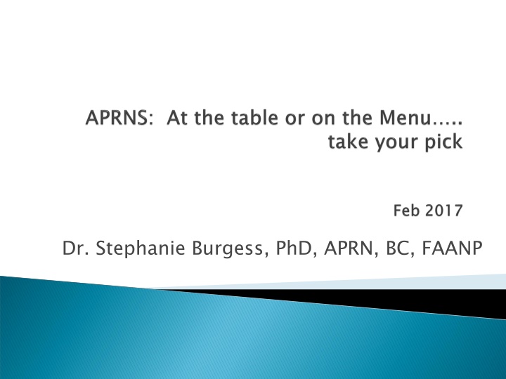 dr stephanie burgess phd aprn bc faanp