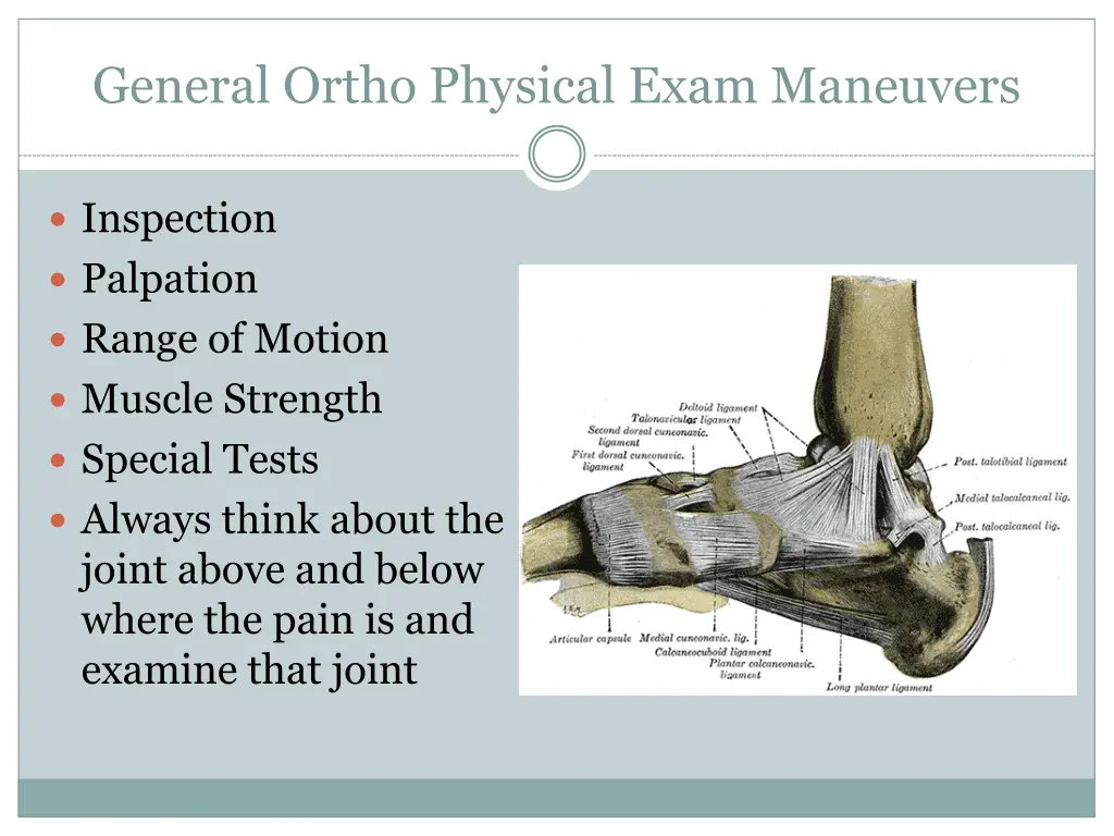 general ortho physical exam maneuvers