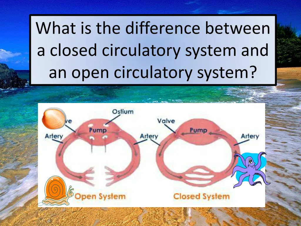 what is the difference between a closed