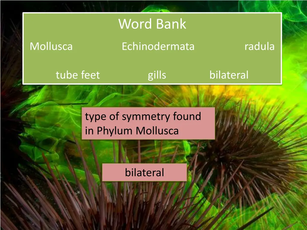 word bank 1