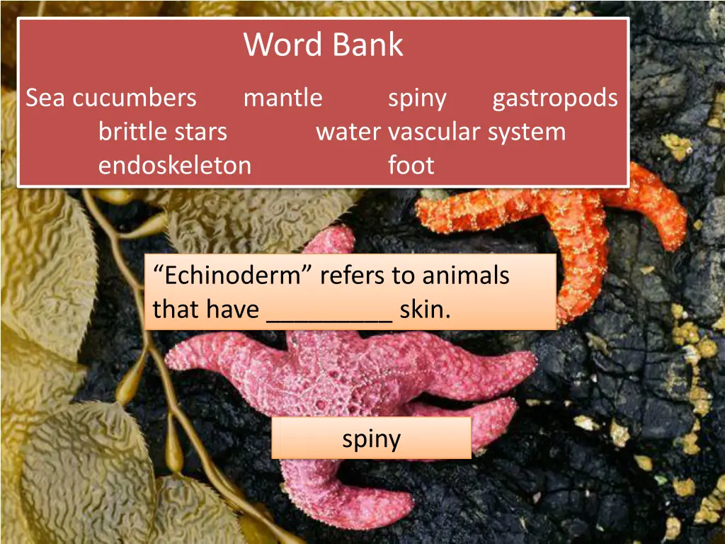 word bank 10