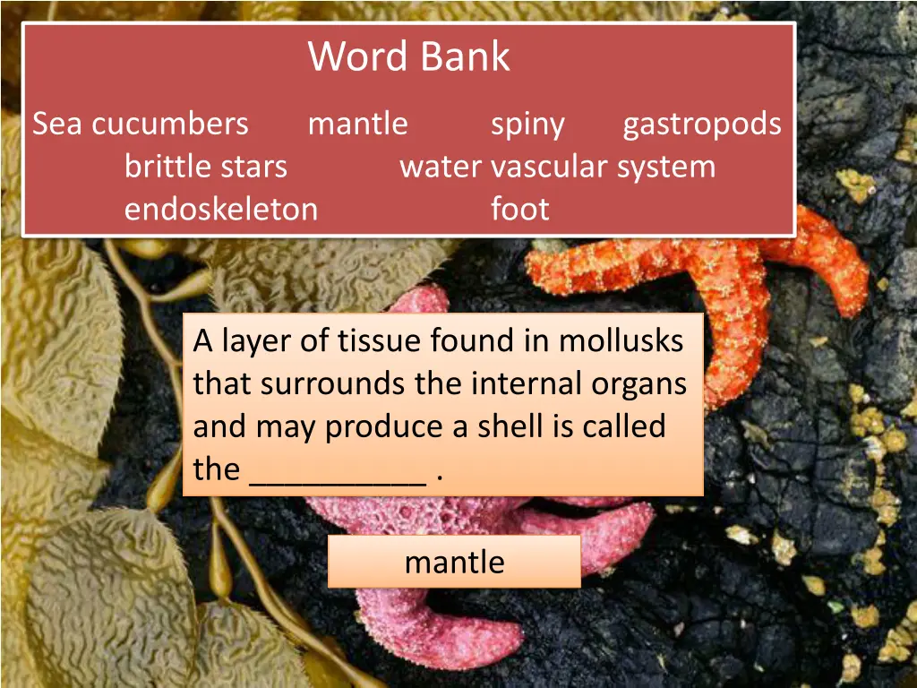 word bank 12