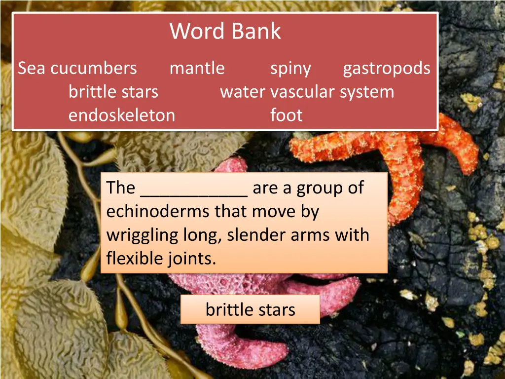 word bank 13