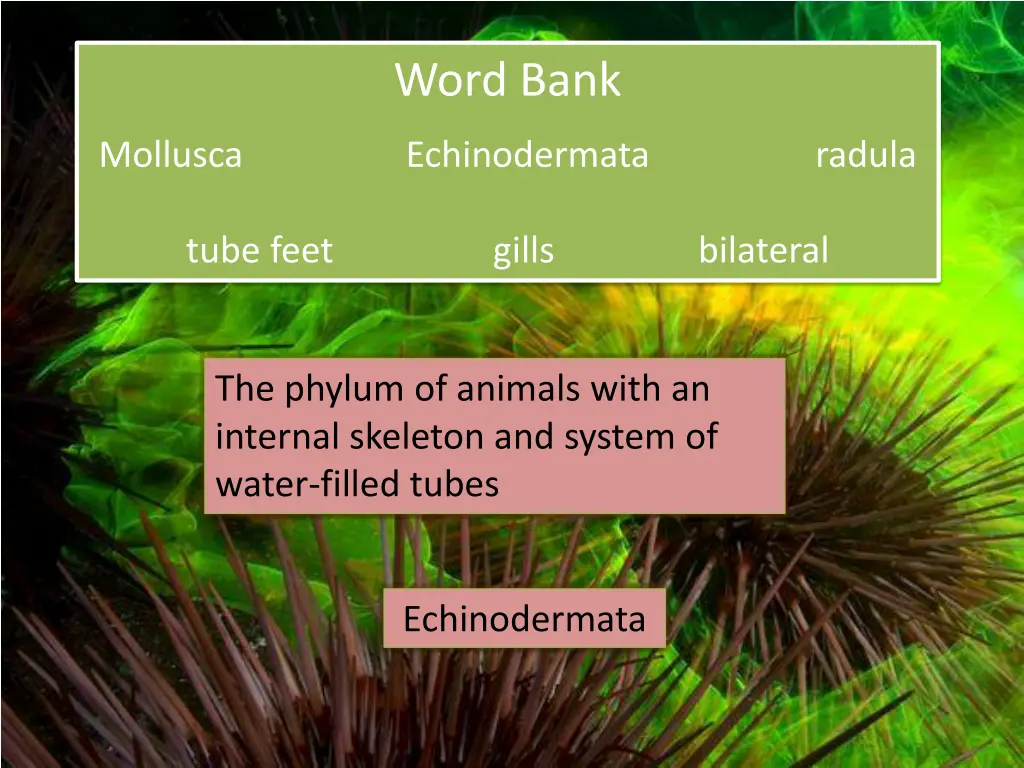 word bank 2