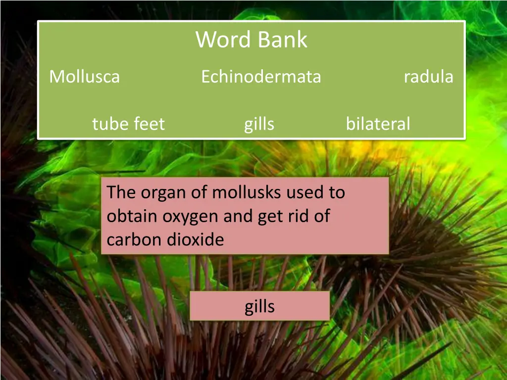 word bank 3