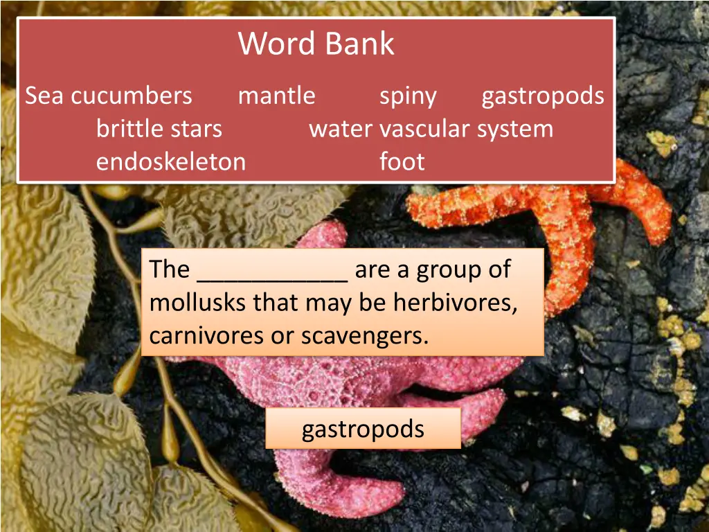 word bank 6