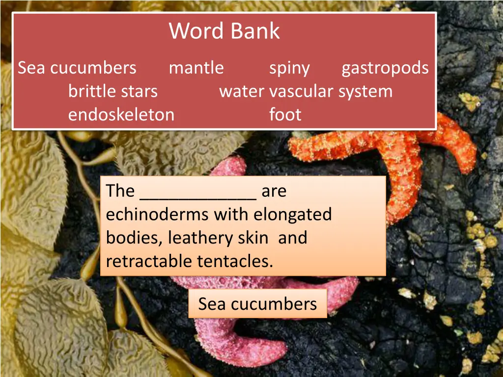 word bank 8