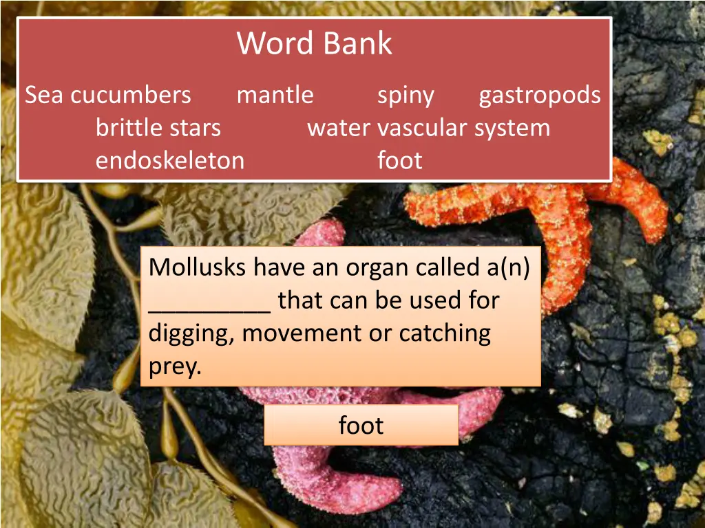 word bank 9