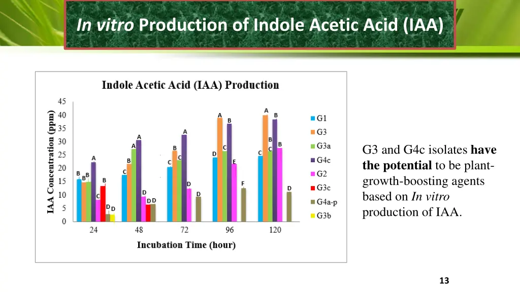 in vitro production of indole acetic acid iaa