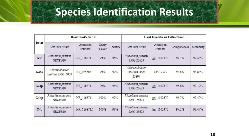 species identification results 1