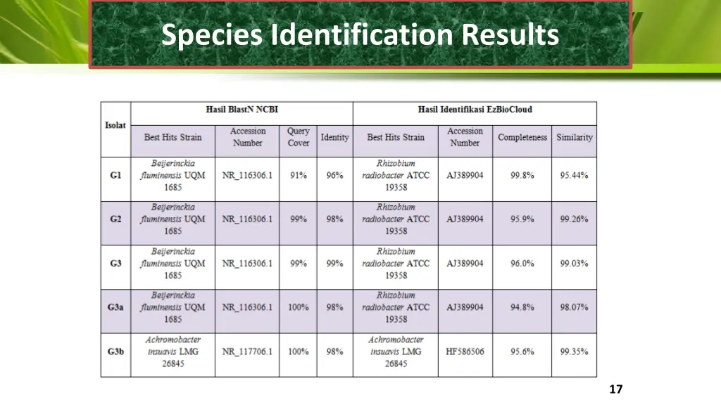 species identification results