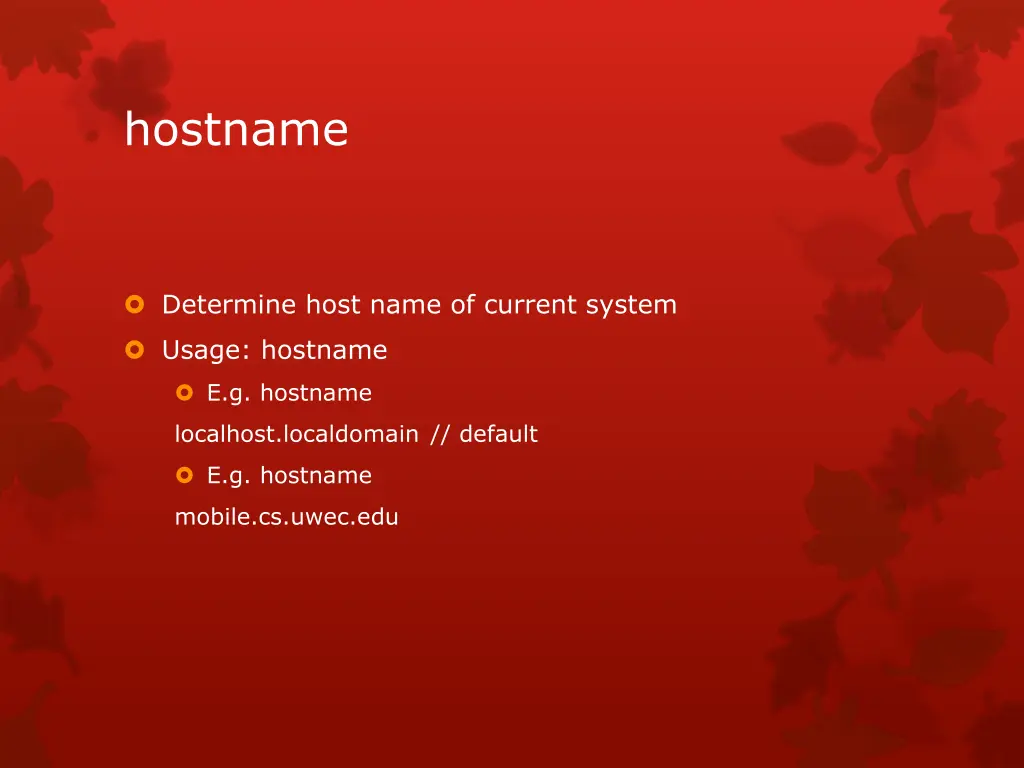 hostname