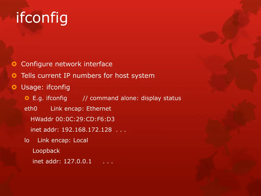 ifconfig