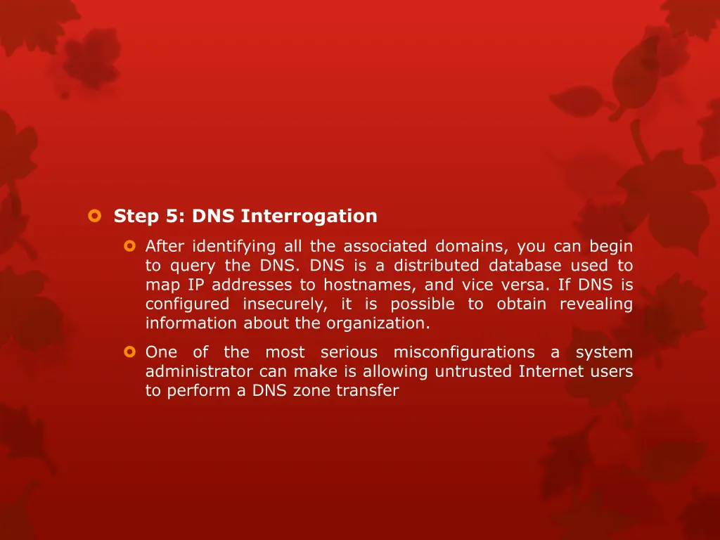 step 5 dns interrogation