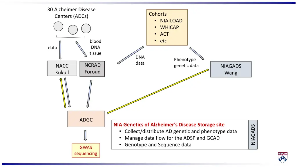 30 alzheimer disease centers adcs 1