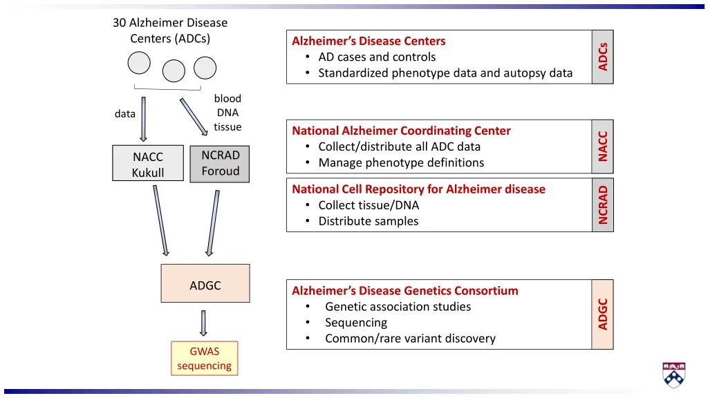 30 alzheimer disease centers adcs