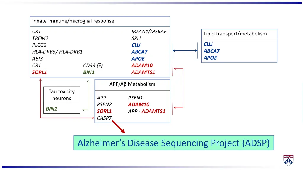 innate immune microglial response