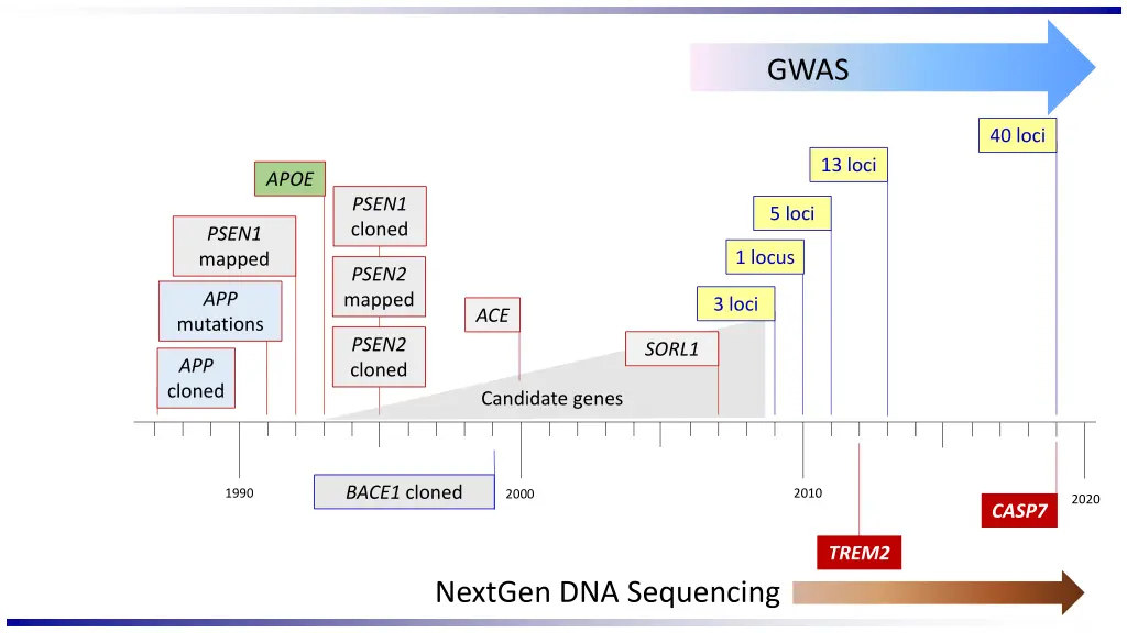 slide19