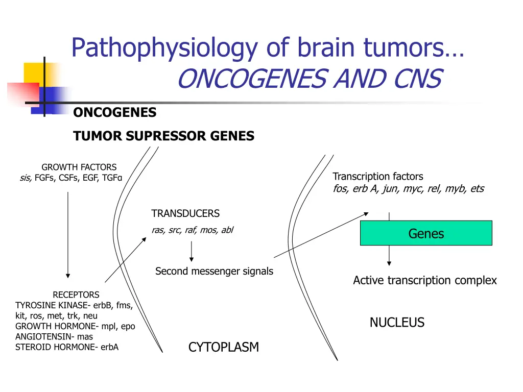 pathophysiology of brain tumors oncogenes and cns