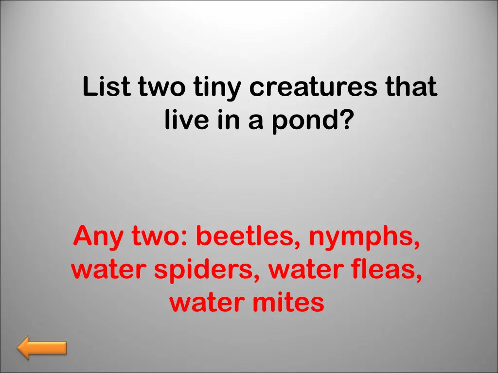 list two tiny creatures that live in a pond