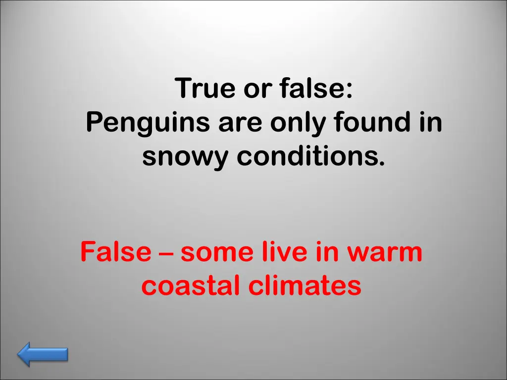 true or false penguins are only found in snowy