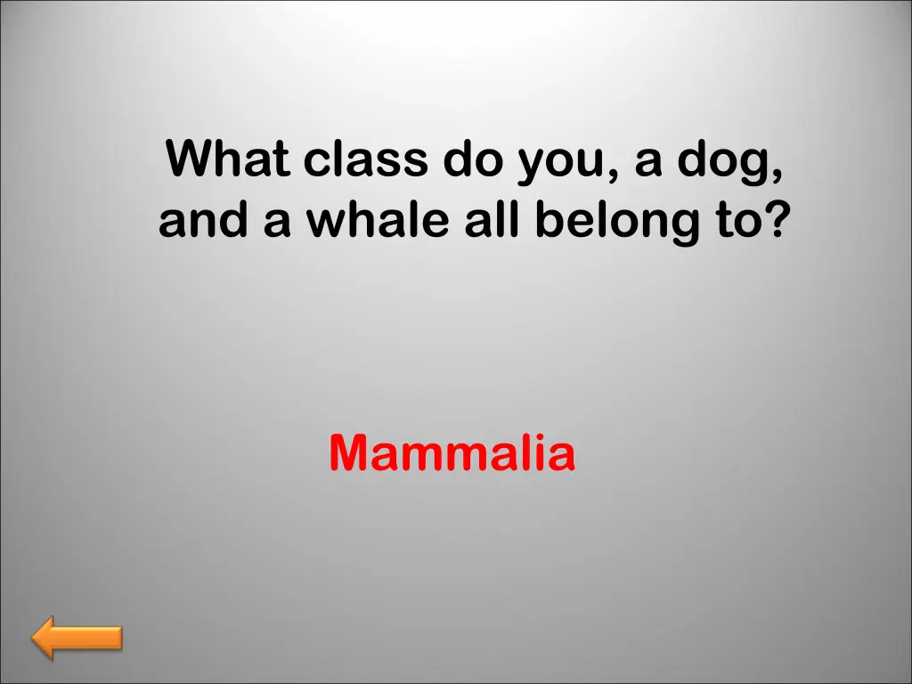 what class do you a dog and a whale all belong to