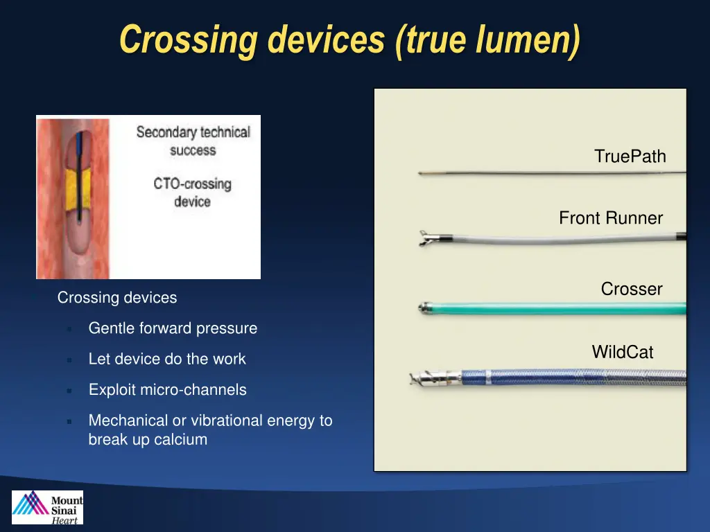 crossing devices true lumen