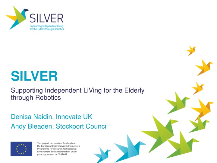 silver supporting independent living