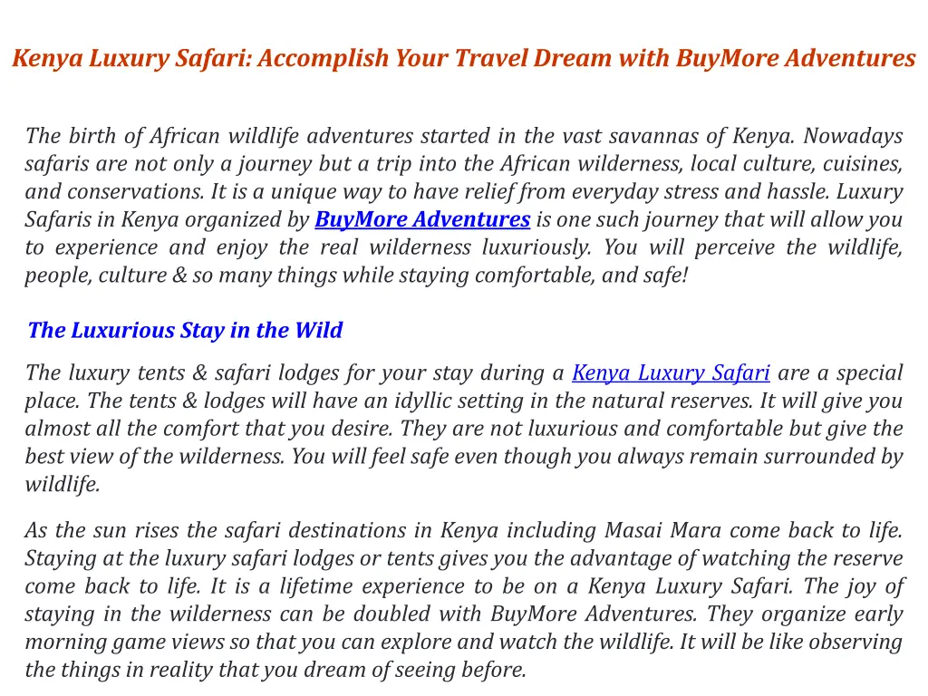 kenya luxury safari accomplish your travel dream