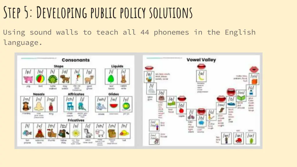 step 5 developing public policy solutions