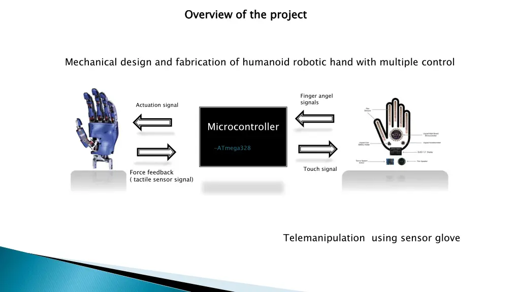 overview of the project