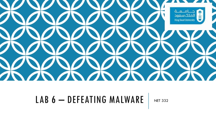 lab 6 defeating malware