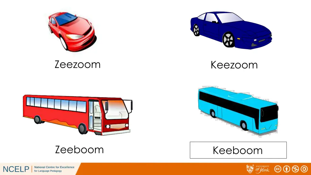 zeezoom