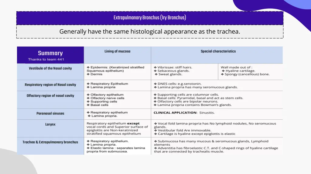 extrapulmonary bronchus 1ry bronchus