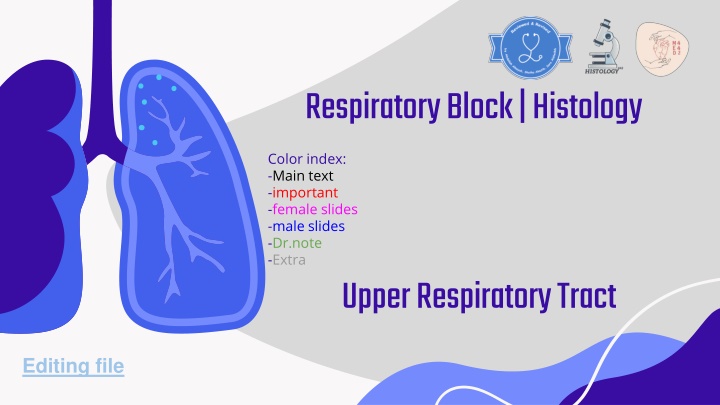 respiratory block histology