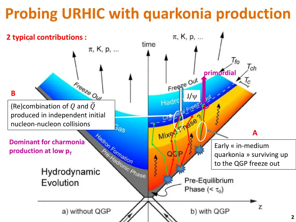 probing urhic with quarkonia production