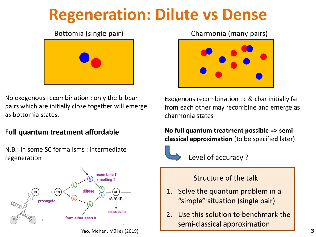 regeneration dilute vs dense